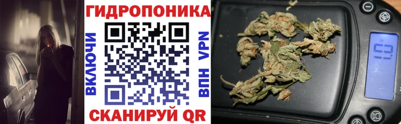 Купить закладки  Ермолино  Бошки Шишки тримм 